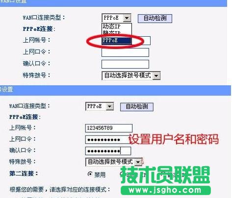 tplink·ôϾW