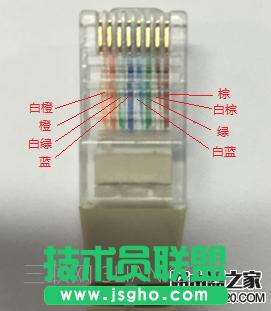 _Ĳ鿴W