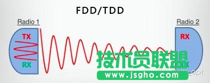 FDDTDDţNDD