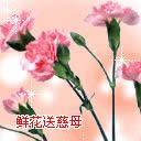 ĸH옷