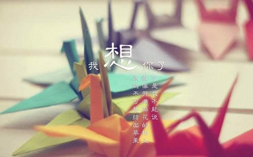 ΢Ȧ簲ZDƬ