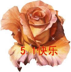 ڄӹ옷gif