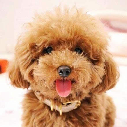 ^
