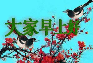 ϺÄӑB