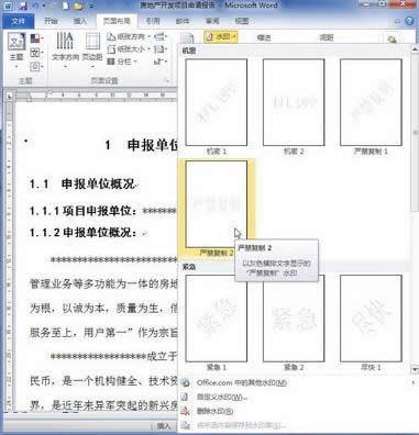 word2010Ӻ̈́hˮӡ