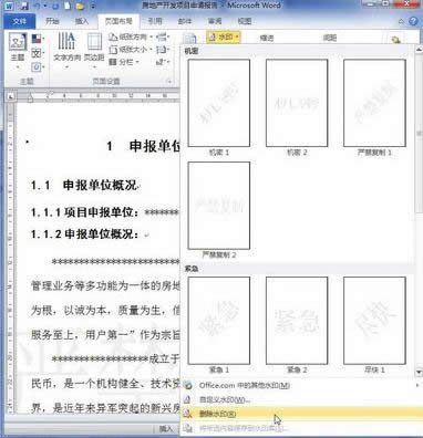 word2010Ӻ̈́hˮӡ