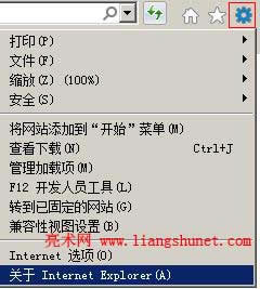 ie10ie11 P Internet Explorer