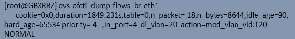  br-eth1  phy-br-eth1 յethernet frame rȾȥ鿴local-vlan  global-vlanһӳ