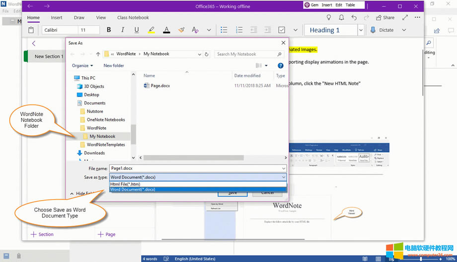 x Word Document 