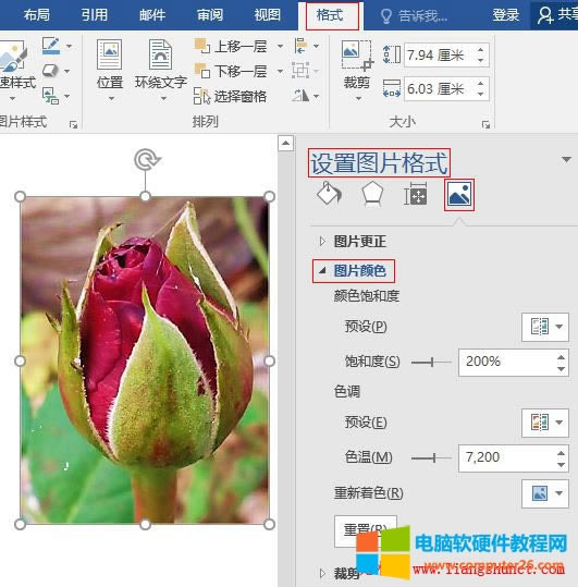 Word 2016 {DƬɫ֮O