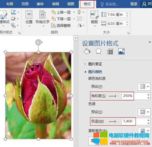 Word 2016 DƬ϶{ 250%
