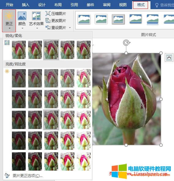 Word 2016  DƬJ/ữ/ȶȣ{