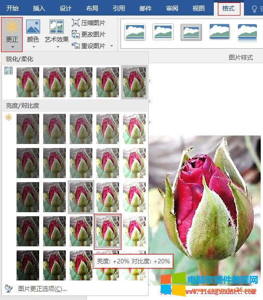 Word2016 õ廨DƬ/ȶ{