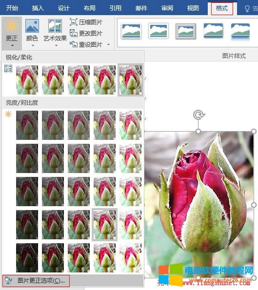 Word 2016 DƬ{֮x