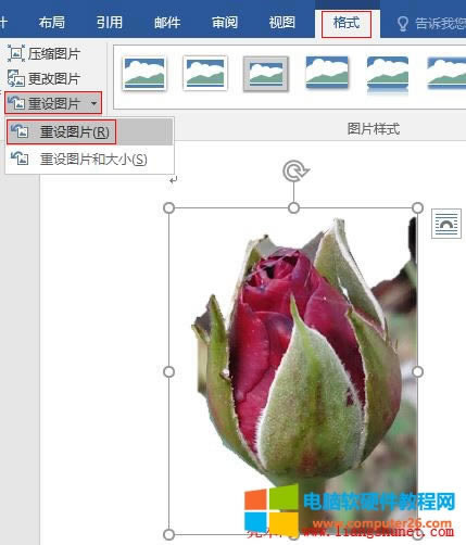 Word 2016 ODƬü߀ԭȥЧ