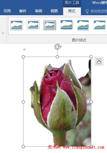 Word 2016 DƬhӛ