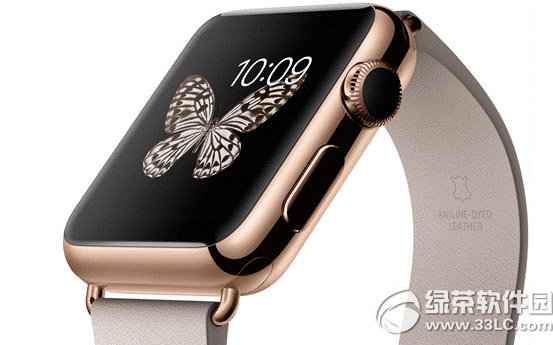 apple watch editionrXapple watch editionr1