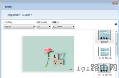 TinyPDF̓MӡCʹ÷