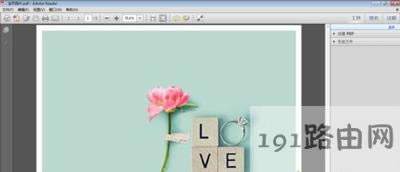 TinyPDF̓MӡCʹ÷