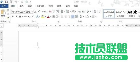 Word2013ô;݋ʽ 