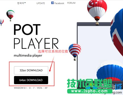 win10ϵydbpotplayerĲE2