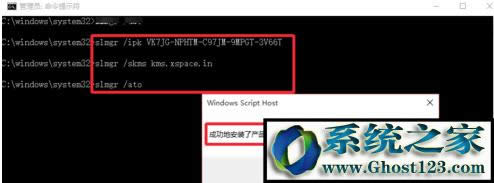 Windows10̖