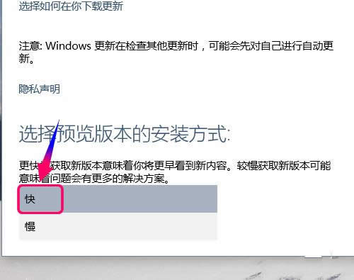 win10͸