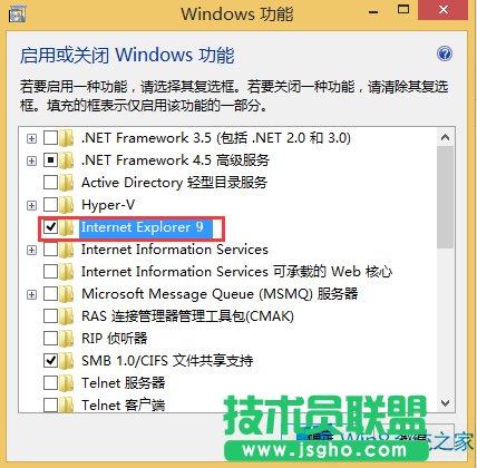 Windows8ôжdIE9g[