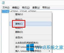 ԒWin8oݔ딵耵̎