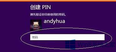 Win8 PINaO