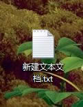 ½һıęn