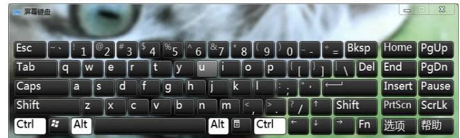 _СIP