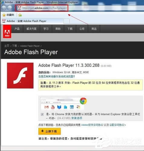 WinXPϵyFlash Playerbe`ôk