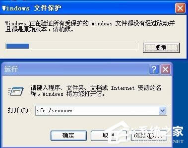 XPϵyOհޏ