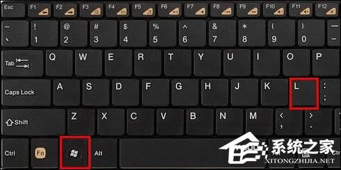 ֪XPϵyչʾ