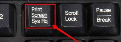 xp؈DIwinxp؈D