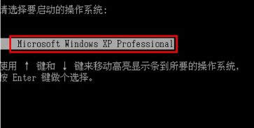 xp_C{ʾM̳ʼʧνQ