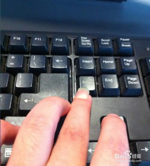 XPϵybCԔ̳