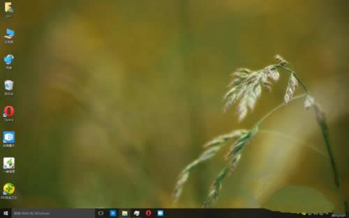 XPRbwin10