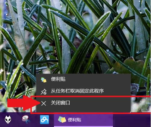 Win10㺞NNδ_ʹ÷B