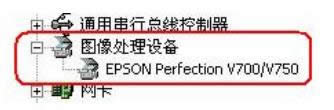 XpϵyʾEpson Scanoӵ̎